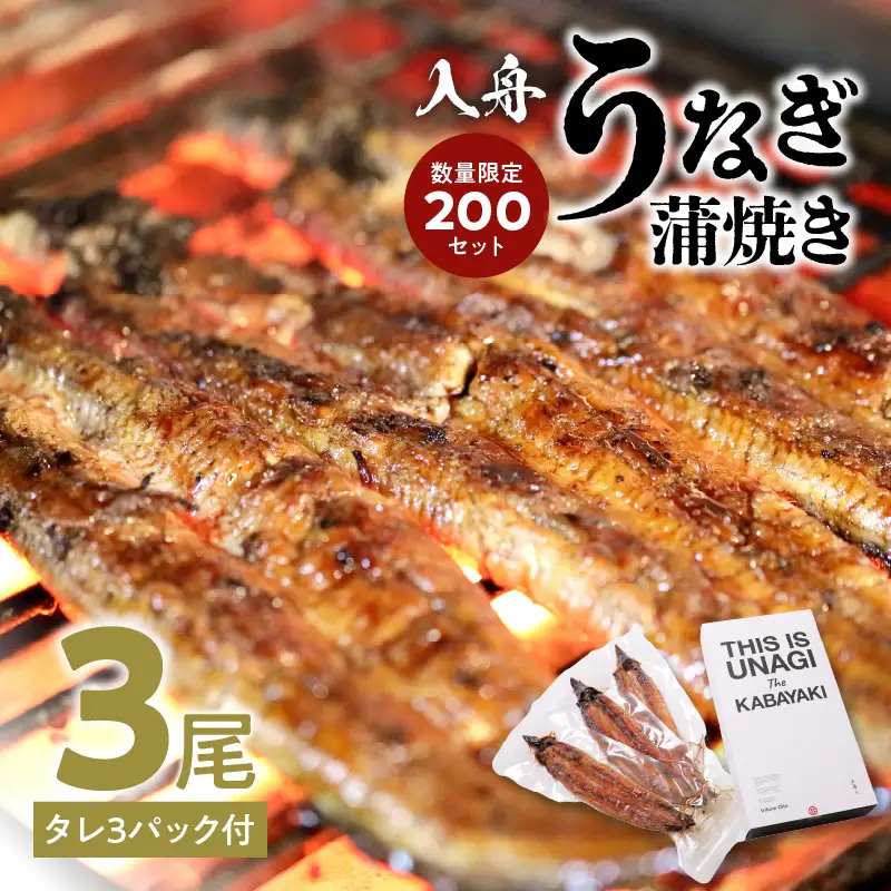 入舟 うなぎ 蒲焼き E07004