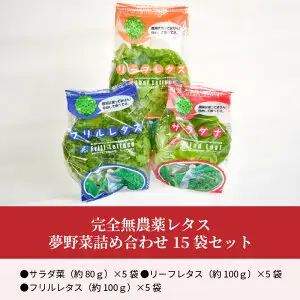 完全無農薬レタス　夢野菜詰め合わせ15袋セット F01003