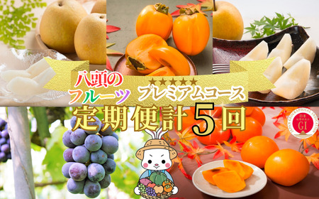 Y001 八頭のフルーツプレミアムコース【8月～12月/5回お届け】