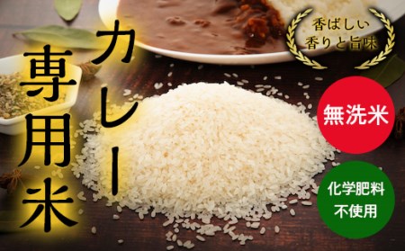Y186 カレー専用米“プリンセスかおり”5kg（無洗米）