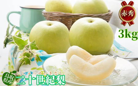 Y018 二十世紀梨(赤秀) 3kg