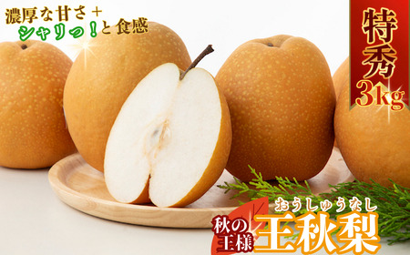 Y032 王秋梨(特秀) 3kg【2026年秋以降発送分】