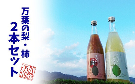 Y226 鳥取県産梨・柿リキュール「万葉の宴」2本セット