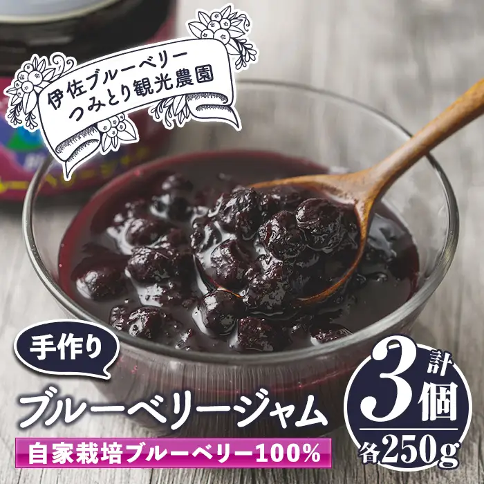 isa223 手作りブルーベリージャム(計3個・各250g) 詰合せ ギフト ジャム 手づくり 自家栽培 ブルーベリー 甘さ控えめ【伊佐ブルーベリーつみとり観光農園】