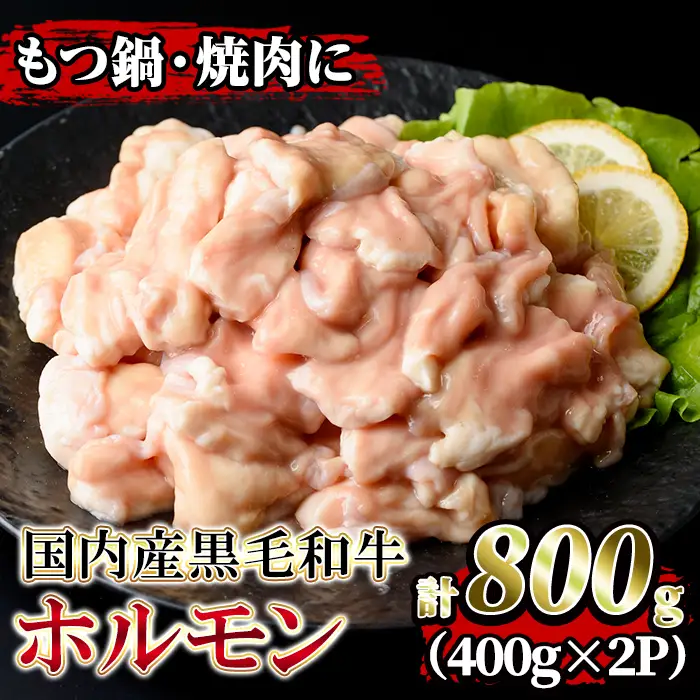isa205 国内産黒毛和牛！ホルモン(計800g・400g×2P) 国産 牛 和牛 大腸 小腸 赤センマイ ミックス 小分け 真空パック もつ鍋 焼肉 煮込み BBQ バーベキュー アウトドア 冷凍 冷凍便【堀ノ内商会】