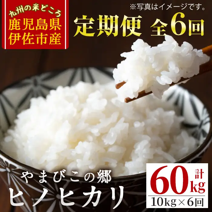 J0-02 【定期便】特別栽培ヒノヒカリ(計60kg・毎月10kg×6ヶ月)  白米 精米 ひのひかり 鹿児島 お米 米 伊佐米【やまびこの郷】