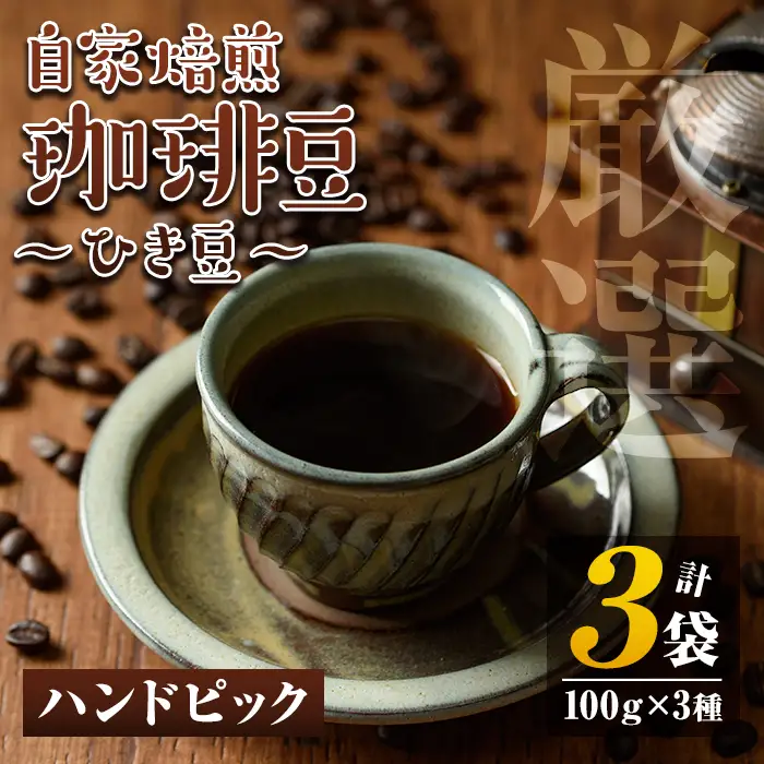 isa213 自家焙煎珈琲ひき豆3袋(計300g・100g×3種) コーヒー coffee コーヒー豆 自家焙煎 ハンドピック 飲み比べ 飲料【工房ゆう】