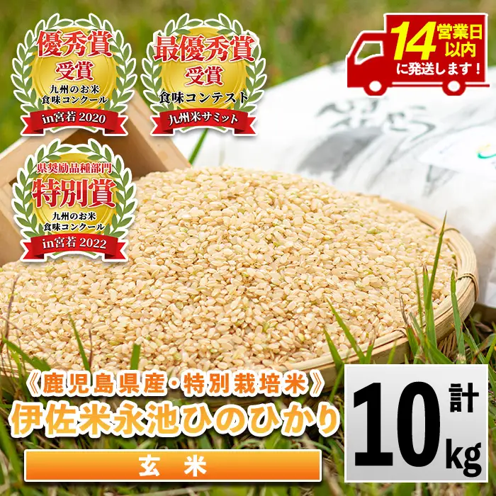 isa199 ＜14営業日以内に発送！＞令和7年産 特別栽培米 永池ひのひかり玄米(10kg) 鹿児島 永池 お米 米 玄米 伊佐米 九州米サミット 食味コンテスト 最優秀賞受賞 ヒノヒカリ 【エコファーム永池】