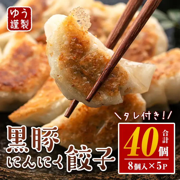 黒豚にんにく餃子 40個 餃子 Z6-01