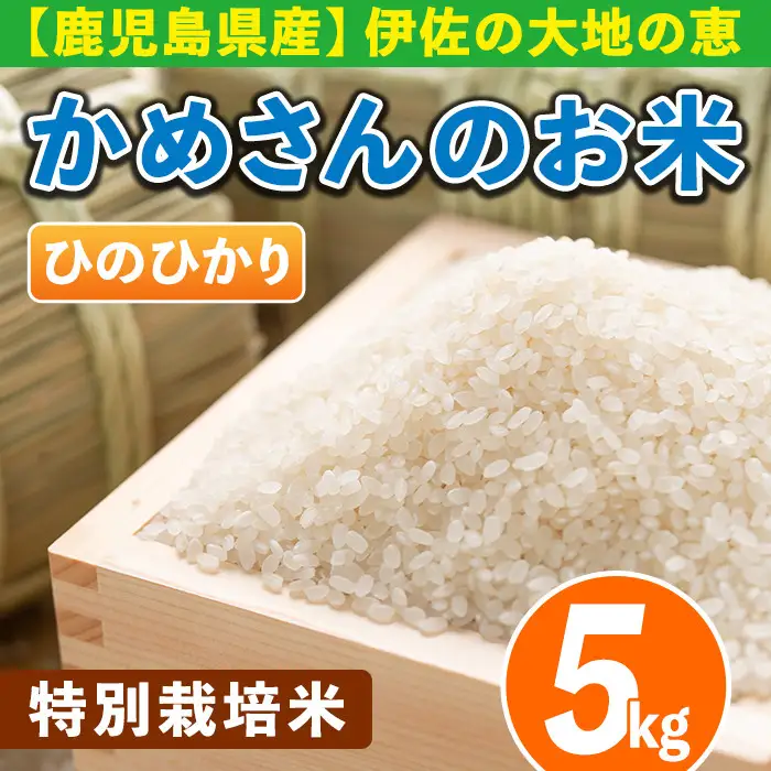 Z9-01 かめさんのお米(5kg・ひのひかり) 伊佐米 米 コメ 白米 精米 ごはん ご飯 ヒノヒカリ 5kg 【Farm-K】