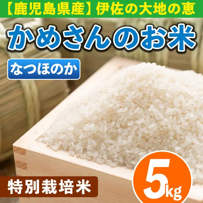 Z9-02 かめさんのお米(5kg・なつほのか) 伊佐米 米 コメ 白米 精米 ごはん ご飯 ナツホノカ 5kg 【Farm-K】