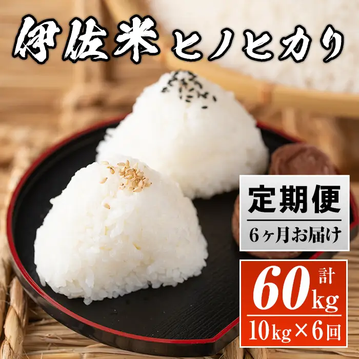 J5-01 【定期便】鹿児島県産！伊佐米ヒノヒカリ(計60kg・10kg×6ヶ月)伊佐市 特産品 薩摩 北の郷 特産品 お米 白米 精米 ひのひかり【神薗商店】