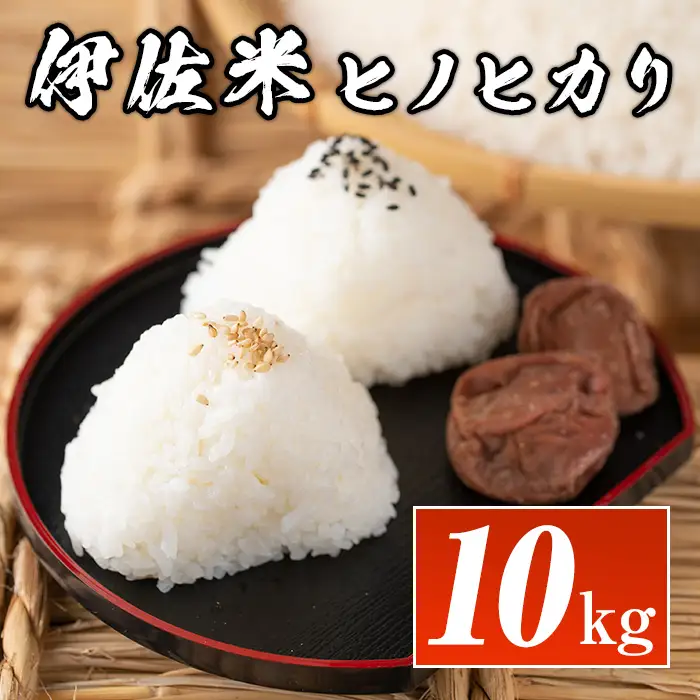 isa135  鹿児島県産！伊佐米ヒノヒカリ(10kg) 伊佐市 特産品 国産 白米 精米 伊佐米 お米 米 ひのひかり【神薗商店】