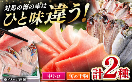 対馬産 本マグロ 中トロ 300g & 旬の干物 2種  [WAH001] 海鮮 魚介 まぐろ トロ 刺身 マグロ 干物 