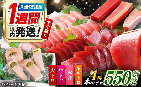 【1週間以内発送】対馬産 本マグロ 4種 計550g（赤身/中トロ/大トロ/ネギトロ）[WAH003] 本まぐろ  スピード発送 最速発送 最短発送