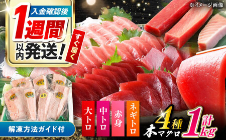 【1週間以内発送】対馬産 本マグロ 4種 計1kg [WAH004] マグロ トロ スピード発送 最速発送 最短発送