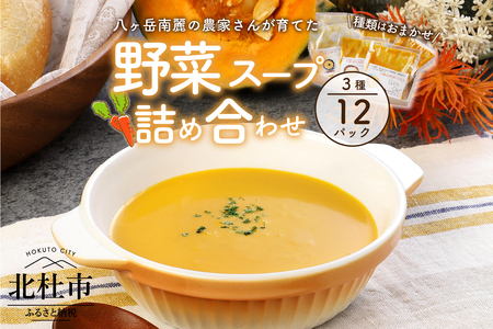 【種類はおまかせ】八ヶ岳南麓のこだわり農家さんが育てた野菜を使ったスープの詰め合わせ12パック(3種×4パック入) [h035]