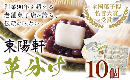 草分け 10個 セット《30日以内に出荷予定(土日祝除く)》 菓子司 東陽軒 北海道 名寄市 和菓子 もなか 最中 モナカ 菓子