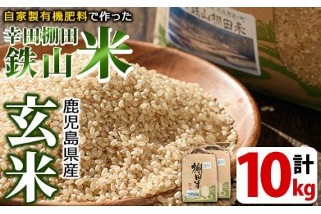 【玄米】鹿児島県産 10kg 玄米【福永商店】_y056-R7A
