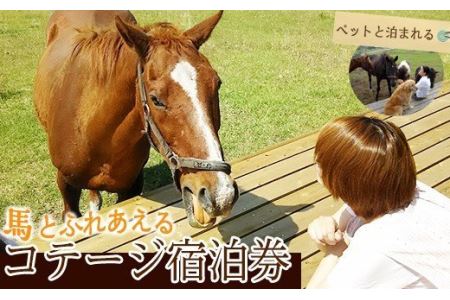 馬とふれあう&ペットと宿泊できる！ コテージPOSY　1泊2日宿泊券（1名様分）体験チケット 体験 レジャー アクティビティ ペット ふれあい 馬 宿泊 宿【霧島アート牧場】_y074