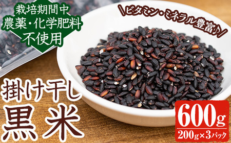 《栽培期間中農薬化学肥料不使用》掛け干し黒米(計600g・200g×3パック) 国産 九州産 鹿児島産 湧水町産 黒米 お米 米 おこめ 600g 化学肥料不使用 農薬不使用 有機 有機農業 有機肥料【雲月農園】_y172