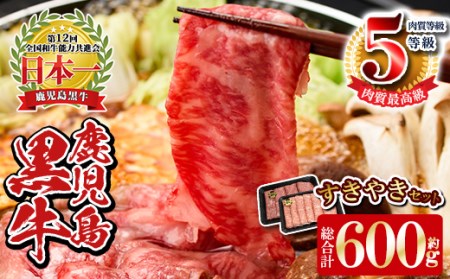 数量限定 鹿児島 黒牛 すきやきセット 計600g 【湧水町JAあいら】 スライス すき焼き用 _y189
