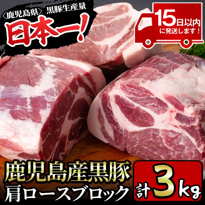 鹿児島産黒豚 肩ロースブロック 計3kg（ブロック1kg×3本）【財宝】_y201-v02