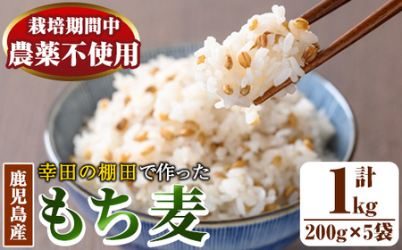 ダイシモチ もち麦 200g×5袋 【福永商店】 もち麦 雑穀 _y215