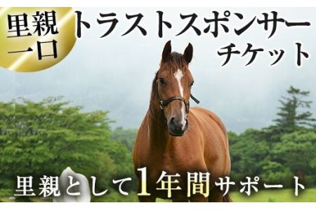 馬主のいない馬を助けたい！トラストスポンサーチケット(1枚) 里親として1年間サポートするシステムです 馬 競走馬 競馬 乗馬 乗用馬 里親 ペット サポート【NPO法人ホーストラスト】_y241