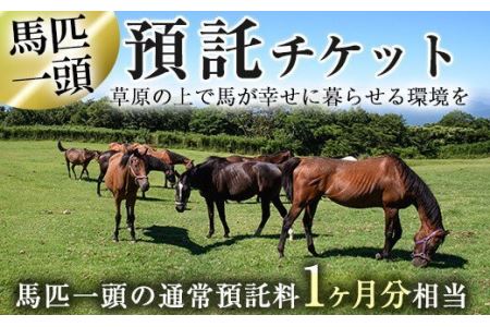 預託チケット！馬匹一頭の通常預託料1ヶ月分に相当するチケット(1枚) 馬 競走馬 競馬 乗馬 乗用馬 預託【NPO法人ホーストラスト】_y240