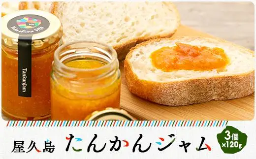 屋久島たんかんジャム３個セット | ジャム