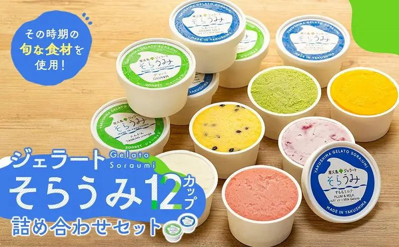 手作り ジェラート 12カップ 詰め合わせ セット＜屋久島産の新鮮食材を使用＞ | ジェラート ジェラート ジェラート ジェラート ジェラート