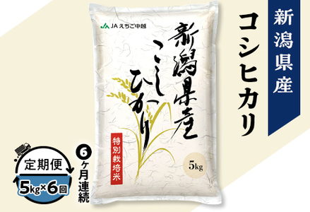 75-7N056B【6ヶ月連続お届け】新潟県長岡産コシヒカリ5kg（特別栽培米）【2026年5月発送開始】