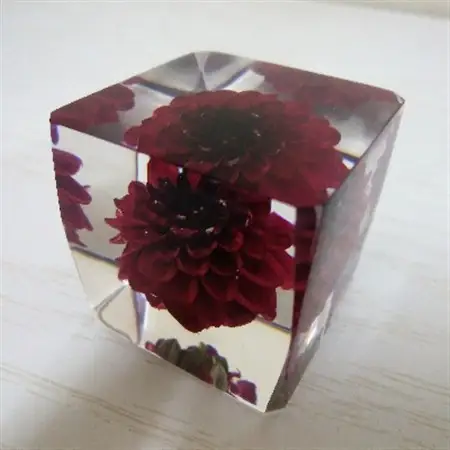 クリスタルダリヤ_雑貨・日用品  家具・インテリア   花・観葉植物  花 _【1203157】