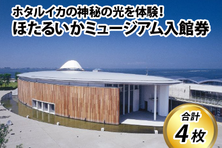 ほたるいかミュージアム入館券 / 4枚 