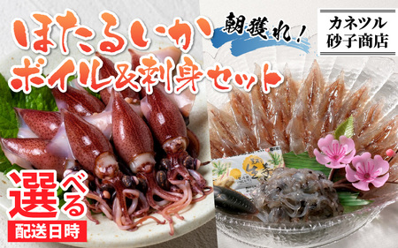 ほたるいか ボイル＆刺身セット【(有)カネツル砂子商店】※着日指定は備考欄へ　※26年3月中旬以降～ 順次発送中 ｜ ほたるいか 蛍烏賊 新鮮 富山県