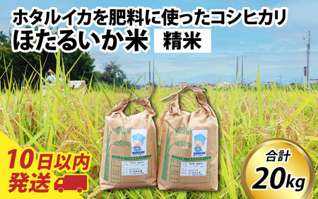 【訳あり】ほたるいか米（精米２０kg）【通年発送】