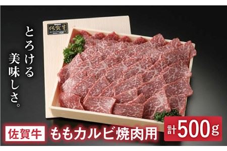 とろける美味しさ 佐賀牛ももカルビ焼肉用 500g【アスタラビスタ】[FAM004]