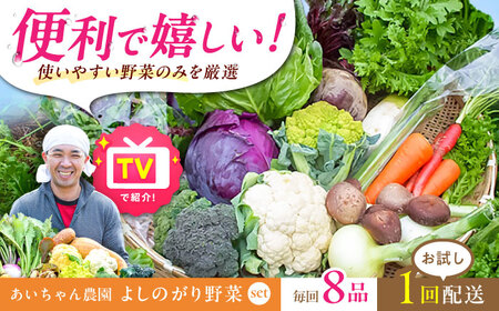 【8品】農薬に頼らない！カラダにやさしい「よしのがり野菜」セット（ショート）【吉野ヶ里あいちゃん農園】 [FAA001]