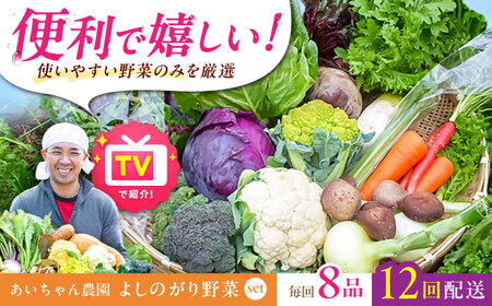 【8品 / 12回定期便】農薬に頼らない！カラダにやさしい「よしのがり野菜」セット（ショート） [FAA002]