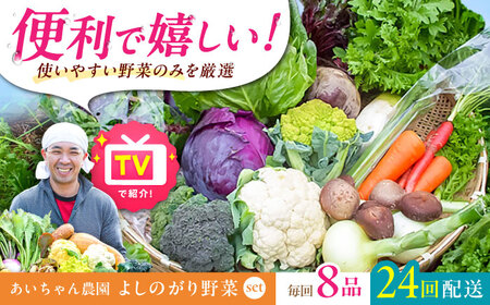 【8品 / 24回定期便】農薬に頼らない！カラダにやさしい「よしのがり野菜」セット（ショート）[FAA003]