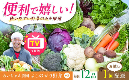 【12品】農薬に頼らない！カラダにやさしい「よしのがり野菜」セット（レギュラー）吉野ヶ里あいちゃん農園  [FAA005]