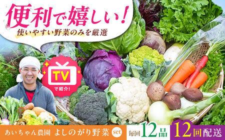【12品 / 12回定期便】「よしのがり野菜」セット（レギュラー） [FAA006]