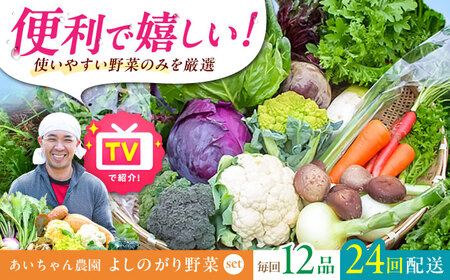 【12品 / 24回定期便】農薬に頼らない！カラダにやさしい「よしのがり野菜」セット（レギュラー）[FAA007]
