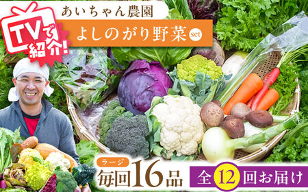 【16品 / 12回定期便】「よしのがり野菜」セット（ラージ）[FAA010]