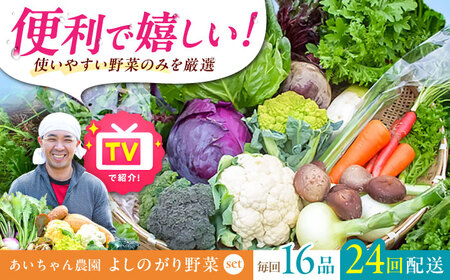 【16品 / 24回定期便】農薬に頼らない！カラダにやさしい「よしのがり野菜」セット（ラージ）[FAA011]