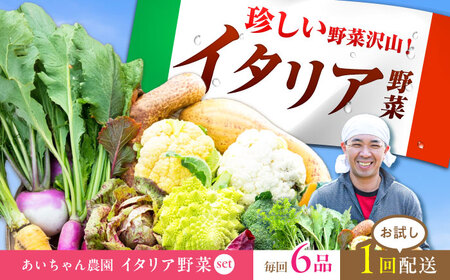 【6品】農薬に頼らない！カラダにやさしい「イタリア野菜」セット（ショート）【吉野ヶ里あいちゃん農園】野菜 やさい[FAA013]