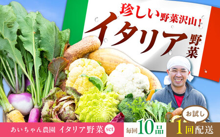 【10品】農薬に頼らない！カラダにやさしい「イタリア野菜」セット（レギュラー） あいちゃん農園 野菜 やさい[FAA017]