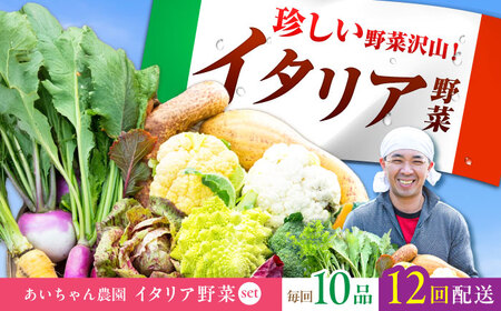 【10品×12回定期便】あいちゃん農園「イタリア野菜」セット（レギュラー）野菜 やさい[FAA018]