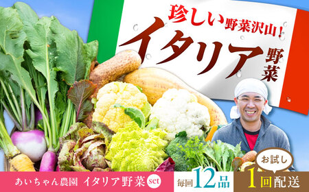 【12品】あいちゃん農園の「イタリア野菜」セット（ラージ）野菜 やさい[FAA021]